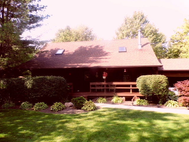 Log Cabin /Pest Inspection